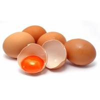 Gambar TELUR OMEGA 3 dari deposusu undefined 2 Tokopedia