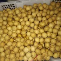 Gambar Buah Kelengkeng Import Kelengkeng 1Kg / Kelengkeng Murah / [COD] - 1Kg dari pandawafood.id undefined 3 Tokopedia