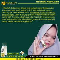 Gambar OBAT TETES TELINGA CONGEK, BERNANAH, BAU CONGEK, MAMPET CONGE, TULI dari Hasbi Herbal_NEW undefined 2 Tokopedia