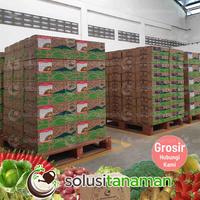 Gambar Pestisida Pengendali Rayap Sutrin @100ml Obat Hama Insektisida Rumah dari Solusi Tanaman undefined 2 Tokopedia