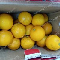 Gambar jeruk Jaffa honey Imlek manis / box dari 99Fruit Shop undefined 2 Tokopedia