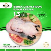 Gambar DAGING BEBEK LOKAL MUDA 1,3 KG UTUH PAKAI KEPALA KAKI dari KING DUCK CENTER undefined 1 Tokopedia
