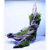 Gambar kayu rentek aquascape ukuran s -+ 10-20cm bonus moss wipping/kayu dari alif_online.ID undefined 1 Tokopedia