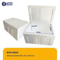 Gambar BOX 60 KG STYROFOAM dari GOLDEN PLASTIK KUPANG undefined 1 Tokopedia
