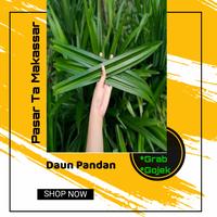 Gambar Daun Pandan Perikat kecil dari Pasar Ta Makassar undefined 1 Tokopedia