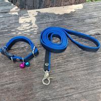 Gambar KEREN nih tali + harness kucing motif cantik - Orange, tali+harness dari CHIKOCI PET ACCESSORIESS undefined 5 Tokopedia