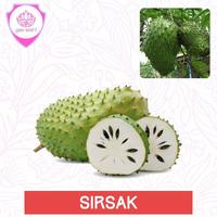 Gambar Benih SIRSAK [isi-7] Biji Buah dari You and I garden_NEW undefined 1 Tokopedia