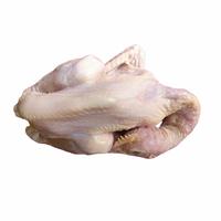 Gambar DAGING AYAM PEJANTAN / KAMPUNG SATU EKOR UTUH 800gr-1kg - Kampung dari Aneka Seafood Bandung undefined 2 Tokopedia