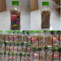 Gambar Maggot BSF Maggot kering Maggot 30gr kwalitas maggot GRADE A dari sukses_ store undefined 2 Tokopedia
