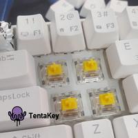Gambar GATERON KS-9 Mechanical Switch Underglow - BLUE dari Tentakey undefined 2 Tokopedia