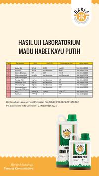 Gambar (FREE SENDOK) Habee Madu Kayu Putih 1kg Madu Murni 100%ORI Madu Asli dari Al Mubarak Honey Official undefined 2 Tokopedia