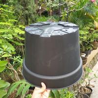 Gambar POT BUNGA HITAM POLOS 30 pot basic biasa polos ukuran 30cm POT TANAMAN dari grosir botol_NEW undefined 3 Tokopedia
