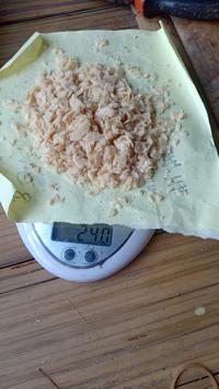 Gambar Telur Maggot BSF dari AVR Farm undefined 2 Tokopedia
