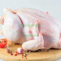 Gambar Ayam Utuh negri 1 ekor siap masak TEMURAH PROMO WIB - 0.8 - 1 kg dari shimmyku undefined 1 Tokopedia