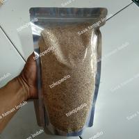 Gambar BENIH BIJI RUMPUT GAJAH MINI/BENIH RUMPUT UNTUK TAMAN,LAPANGAN DLL 1Kg dari Sasa Taman Indah undefined 3 Tokopedia
