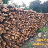 Gambar kayu dolken diameter 8/10 dari PD TULUS JAYA undefined 1 Tokopedia