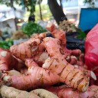 Gambar Laos Merah Segar/Lengkuas merah Segar dari Gubuk Herbal 110 undefined 1 Tokopedia