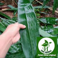 Gambar promo Daun bambu beras ukuran 4 jari segar khusus untuk bacang dari Herherbal165 undefined 3 Tokopedia
