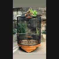Gambar Sangkar burung murai sangkar burung polos no 2 kandang burung murah dari KJ JATIFURNITURE undefined 1 Tokopedia