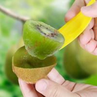 Gambar knife Slicer peeler kiwi buah naga sendok pisau pemotong iris dari aneka multi undefined 1 Tokopedia