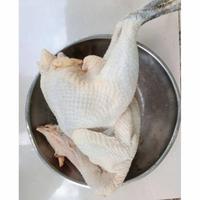 Gambar ayam kampung / ayam jago/ besar utuh dari MakanEnak&amp;SERBA_KAMBING undefined 1 Tokopedia
