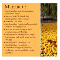 Gambar Bee Pollen (Tepung Sari Bunga Alami) Halus 1 Kg - Pondok Lebah dari Madu Pondok Lebah undefined 3 Tokopedia