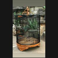 Gambar Sangkar burung murai sangkar burung polos no 2 kandang burung murah dari KJ JATIFURNITURE undefined 2 Tokopedia