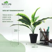 Gambar Sumara Artificial Plaintain Lily – Tanaman Hias Sintetis dengan Pot dari Toko Rumput Sumara undefined 3 Tokopedia