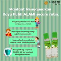 Gambar Minyak Kayu Putih Cap COIN 60 ml Promo Paket 2 dari Nusa Boga Sejahtera undefined 2 Tokopedia
