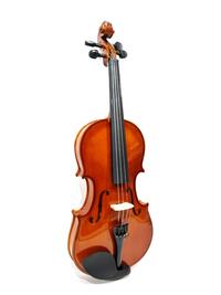 Gambar Biola Vienna 4/4 Natural Murah Jakarta Garansi dari Toko Gitar Jakarta Official undefined 4 Tokopedia