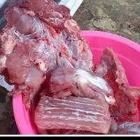 Gambar daging biawak mentah dari Need&#39;s Fresh undefined 1 Tokopedia