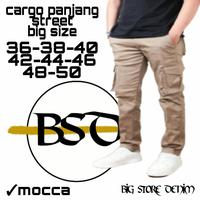 Gambar CELANA CARGO PRIA JUMBO BIG SIZE/ CELANA CARGO JUMBO/CARGO BIG SIZE - mocca, 36-37 dari BIG STORE DENIM undefined 2 Tokopedia