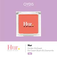 Gambar Oydisbeauty HUR Garden Multisleek Pot Cream Blush 3gr - chamomile dari Oydis Beauty undefined 3 Tokopedia