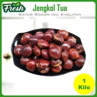 Gambar Sayur Sayuran Segar Bogor Makanan Jengkol Tua 1kg dari Sayur Ibu Kholifah undefined 1 Tokopedia