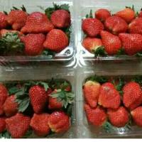 Gambar strawberry buah segar 250 gram dari pasarbadungonline undefined 2 Tokopedia