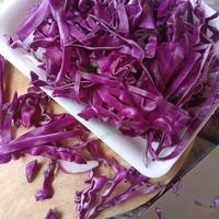 Gambar sayur siap saji - kol ungu organik iris shreded 100gr dari Rasaki hydrofarm undefined 3 Tokopedia
