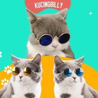 Gambar Kacamata sunglass keren kucing anjing - Lensa pink dari Kucingbilly undefined 3 Tokopedia