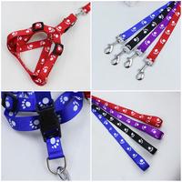 Gambar Pet Harness Dog Cat Motif Paw / Tali Tuntun Hewan Anjing Kucing Motif dari Kenny Yu undefined 3 Tokopedia