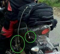 Gambar TALI PENGIKAT BARANG / KARET BAWAAN BARANG DI MOTOR KUAT - 60cm dari Trimitra Group undefined 3 Tokopedia