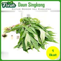 Gambar Daun Singkong Hijau Segar 1 ikat Sayuran Segar Bogor dari Sayur Ibu Kholifah undefined 1 Tokopedia