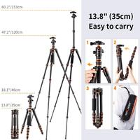 Gambar K&F Concept BA225 Carbon Fiber Tripod Monopod Camera KNF KF RESMI dari JPC Kemang undefined 3 Tokopedia