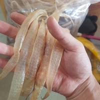 Gambar gelembus ikan/gelembung ikan/fish maw dari Rogerr777 undefined 1 Tokopedia