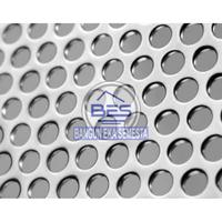 Gambar Plat Lubang Stainless SS 304 (Lubang 4 mm x Tebal 2 mm) 1 x 2 m dari Bangun Eka Semesta undefined 1 Tokopedia