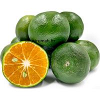 Gambar 1KG JERUK BABY BATU PERAS JUMBO VITAMIN C ASLI ALAMI fresh java PER KG PER 1 KG KILOAN KILO AN dari solusirumah.biz undefined 3 Tokopedia