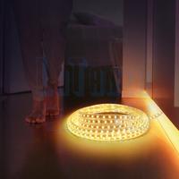 Gambar Lampu LED Strip Selang 5050 SMD AC 220V 1M-10M Indoor & Outdoor Putih Biru Merah Hijau Warm White Pink Cocok untuk Pepohonan Platform Rumah Gapura Aquarium Kolam Renang - Putih, 1m+soket dari MIKN undefined 2 Tokopedia
