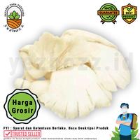 Gambar Jamur Tiram Putih Per 5 KG (Harga Grosir) dari Yezbozz Shop undefined 1 Tokopedia