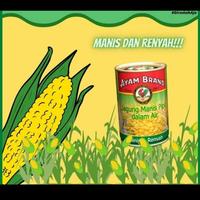 Gambar AYAM BRAND JAGUNG MANIS PIPIL 425GR GARAM / KRIM SWEET CORN CREAM - JAGUNG KRIM dari Food Republic Jakarta Barat undefined 5 Tokopedia