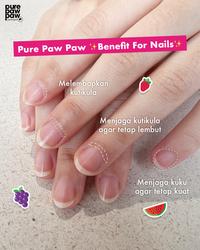 Gambar Pure Paw Paw Original 25 gr, clear brow gel, (NB02171304605 /H570) dari Paw Ointment undefined 3 Tokopedia