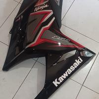 Gambar Full body fairing ninja 250 fi. dari 2NUS undefined 2 Tokopedia