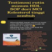 Gambar SUPLEMEN KESEHATAN TUBUH HDL SOP - 2 BOX dari store manager undefined 2 Tokopedia
